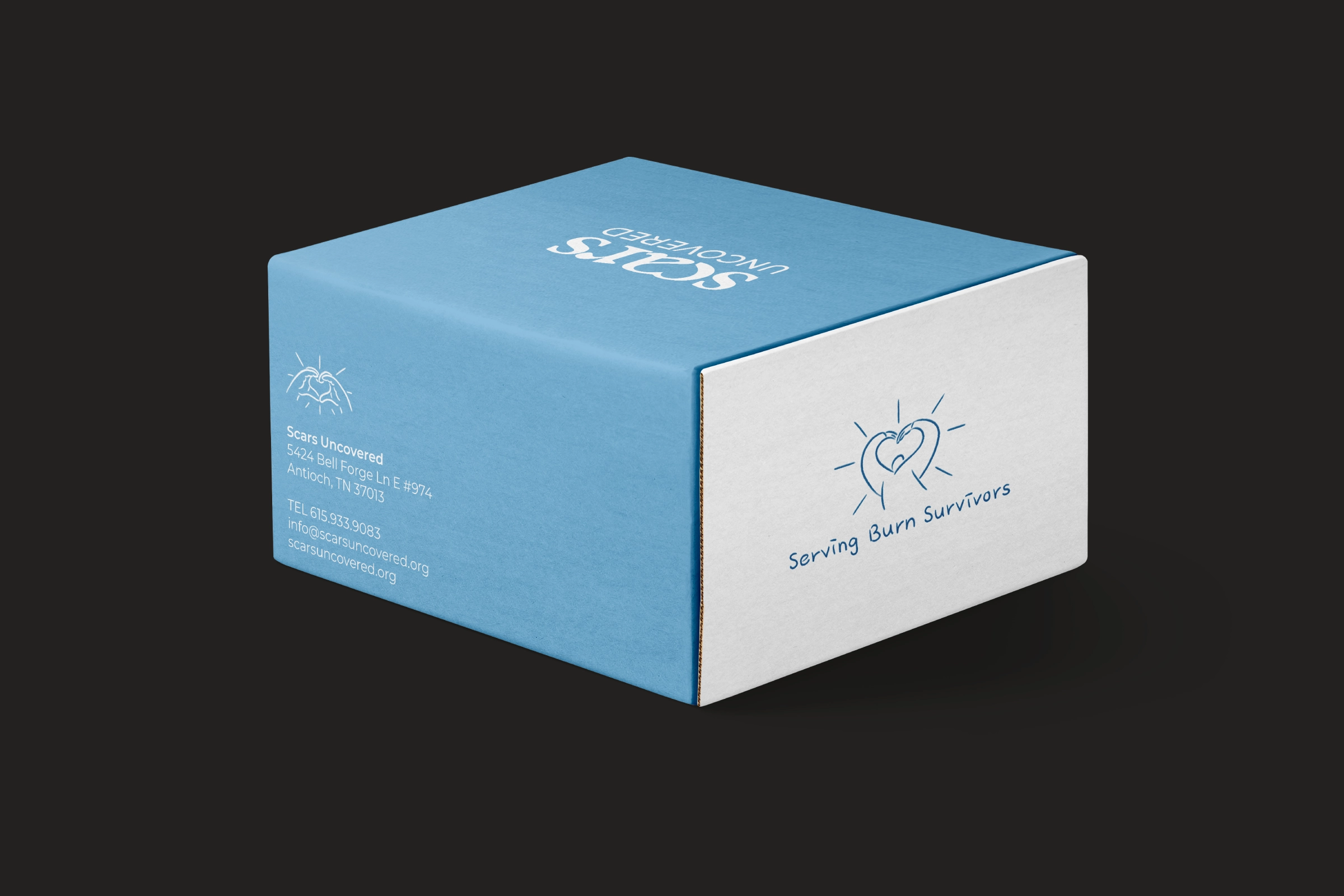 Scars Uncovered Box