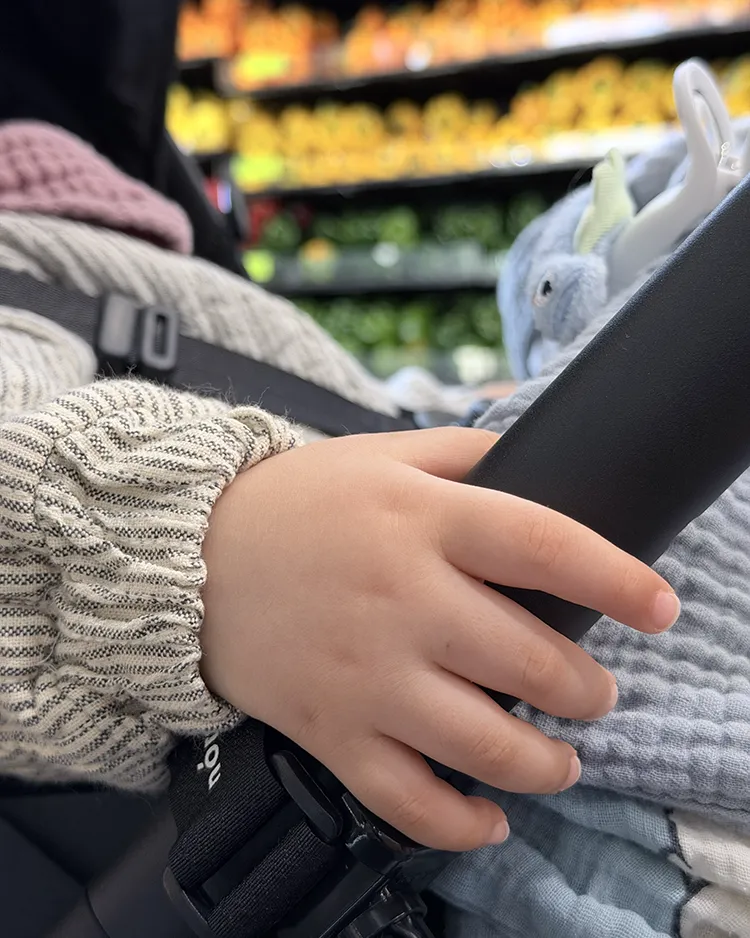 Laon in grocery store