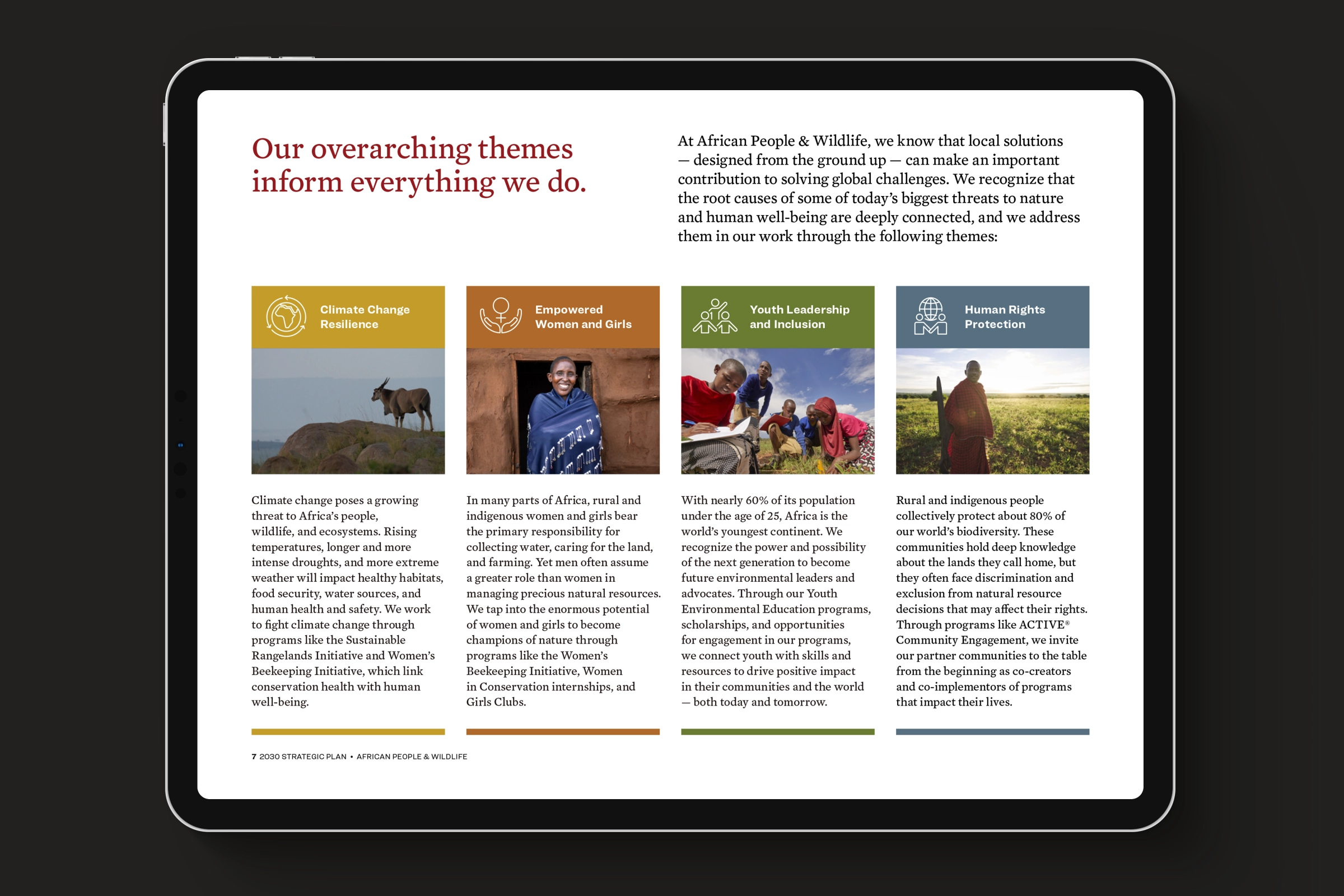 African People & Wildlife Strategic Plan